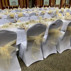 Chair Covers/Sashes