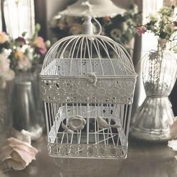 Bird Cages