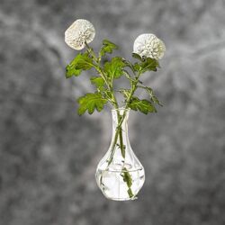 Bud Vase   Clear Glass Pear Shaped 