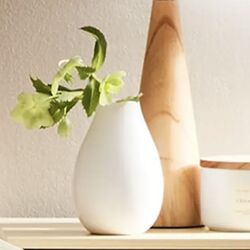 Ceramic Bud Vases   White