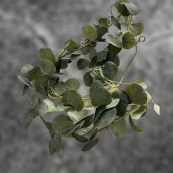 Eucalyptus Garlands 