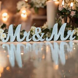 Mr + Mr Mrs + Mrs or Mr + Mrs   Silver Glitter