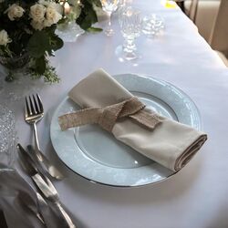 Table Napkins   Linen 